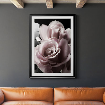 " Rose Noir II "