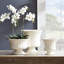 Stiles Faux Flowering Plant