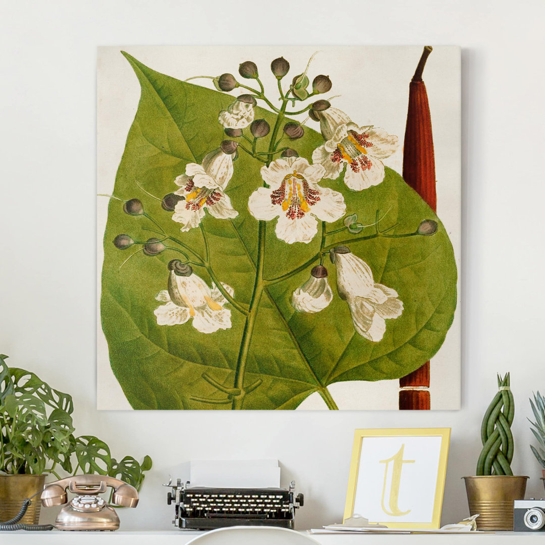 Leinwandbild Leaf Blossom Fruit V Table