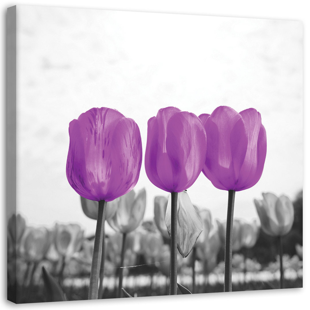 Leinwandbild Tulpen Wiese Natur Blume Lila