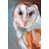Wrapped Canvas selected