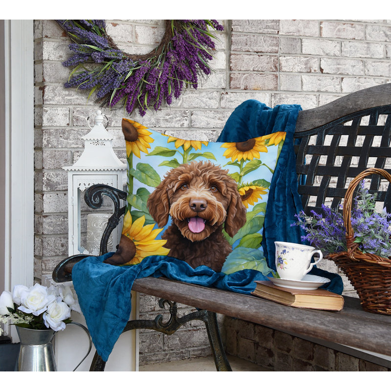 Other/No Pattern Outdoor Throw Pillow, 18" H x 18" W
