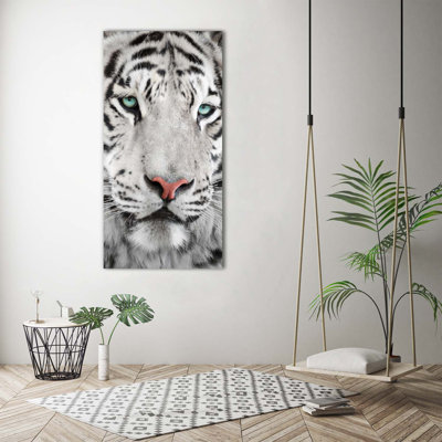 Dogs And Cats - Wrapped Canvas Print