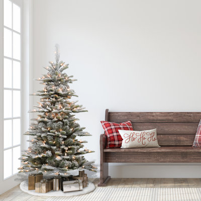 54' Lighted Fir Christmas Tree