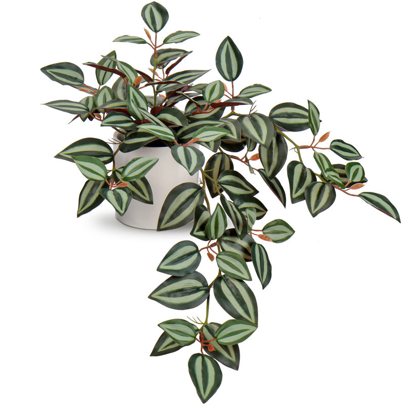 20cm Plant, Black/Green