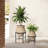 2-Piece Rustic Brick Red Cachepot Planter Cauldron Set with Black Stands-936294627
