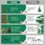Arbre de Noël artificiel en PE et PVC de 4 pi, 856 pointes de branches réalistes, support en métal à charnières pour une installation facile, arbre de Noël vert pour la maison et le bureau-1165846211