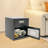 Cash Depository Safe Box