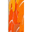 Drapeau de jardin Domyn