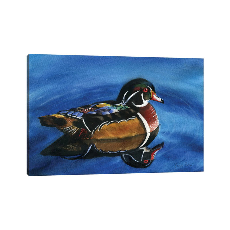 Wood Duck by Rachel Parker - Wrapped Canvas Gallery-Wrapped Canvas Giclée, 20.32 cm H x 30.48 cm W
