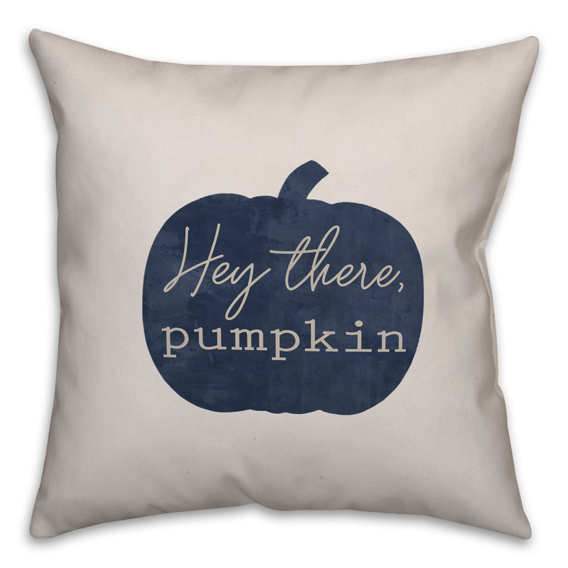 Housse de coussin et insert Hey, 20 po x 20 po