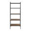 Bernadette 183cm H x 72cm W Steel Ladder Bookcase-1561626231