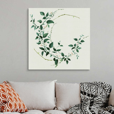 Toile délicate vigne