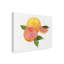 « citrus jardin x », reproduction d’impression sur toile tendue-33413710