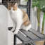 Enceinte d'extérieur pour chat Chamika-1578982575