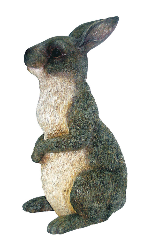 Winston Porter Charlestown Peter Rabbit Statue & Reviews - Wayfair Canada