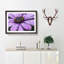 Pollen of a Purple Gerbera Flower - Picture Frame Painting Print-56758623-56758620