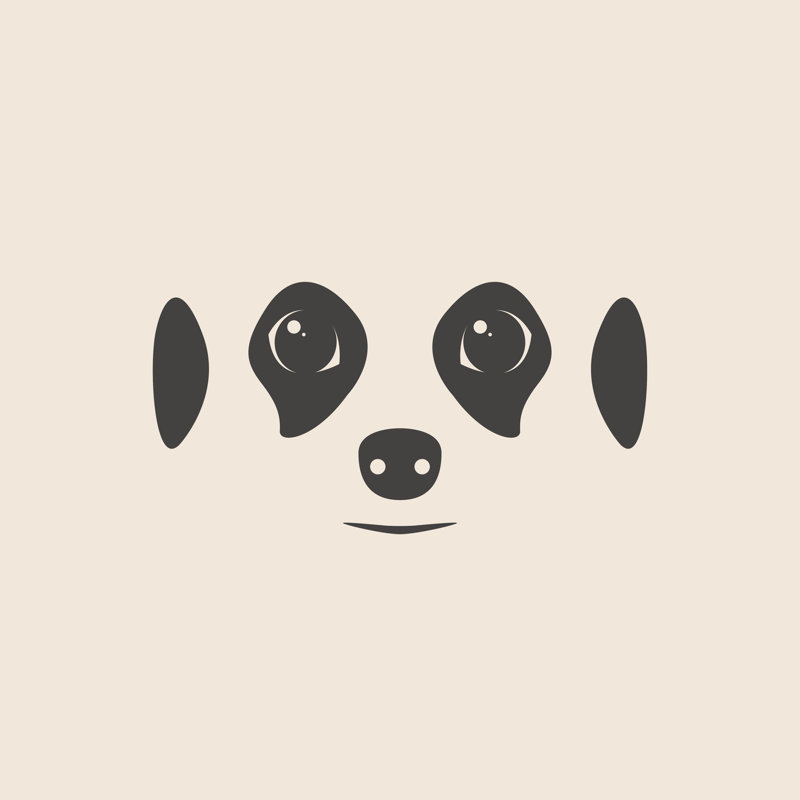 Meerkat Face - Wrapped Canvas Print, 122cm H x 122cm W x 3.8cm D