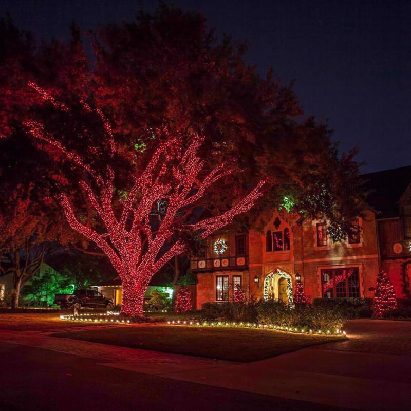 Guirlande de lumières de Noël 50 pi., Rouge
