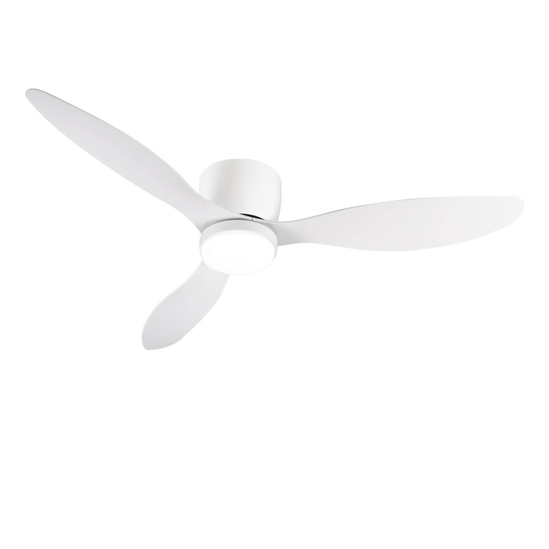 Ventilateur de plafond 52 pouces avec lumière