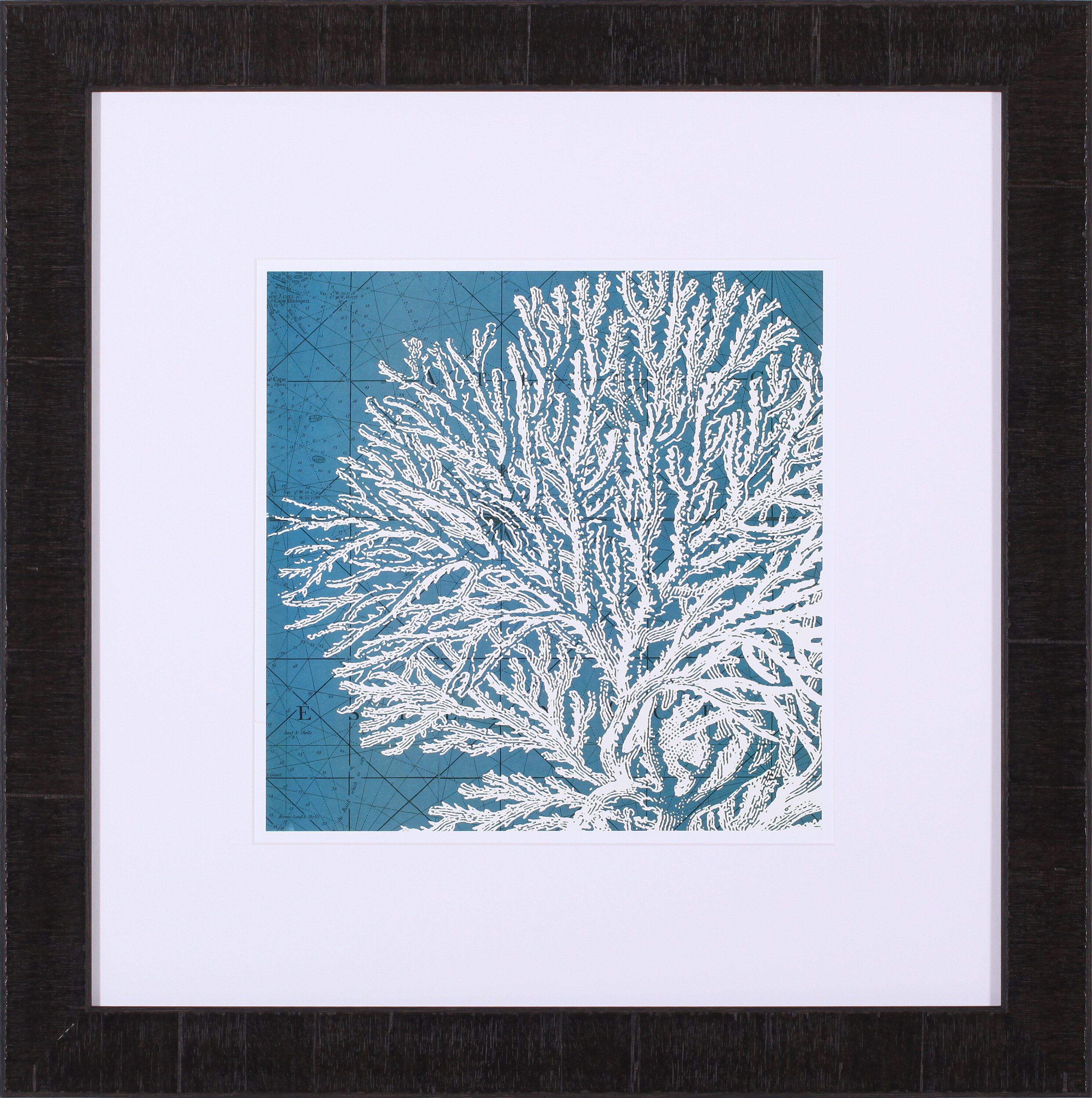 Art Effects Coastal Menagerie I by Vision Studio Framed Graphic Art ...