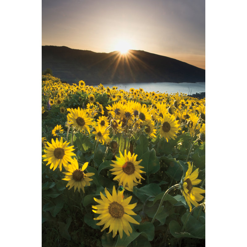 «Columbia River Gorge Sunrise» par Alan Majchrowicz, reproduction de photo sur toile tendue, H 30 po x l 20 po