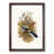 Walnut Framed