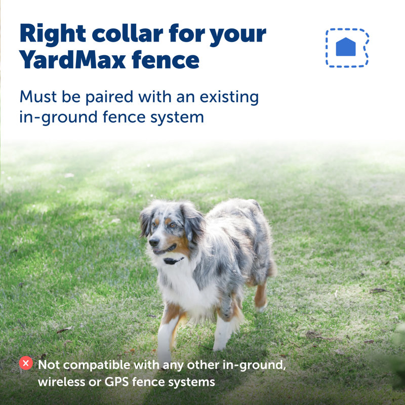 YardMax Rechargeable In-Ground Fence Collar