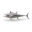 Animals Bluefin Tuna Fish Wall Décor
