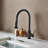 Stainless Steel Pull Down Kitchen Faucet With Soap Dispenser-111235485