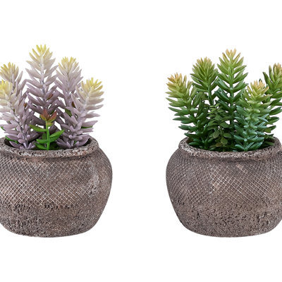 Set of 2 Artificial Spike Succulents, Faux Plants in Textured Round Brown Cement Pots, Rustic Modern Table Decor