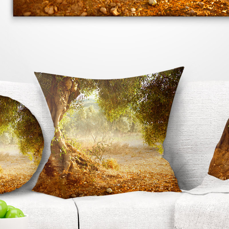 Magnifique coussin vieil olivier, 16 po x 16 po, Coussin décoratif
