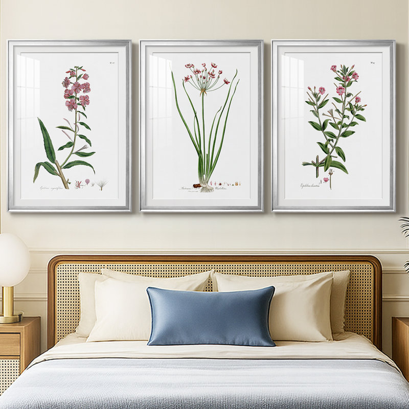 Rose Botanical I - reproduction sur mesure encadrée de qualité supérieure - 3 pièces, Argent argent, H 21 po x l 30 po