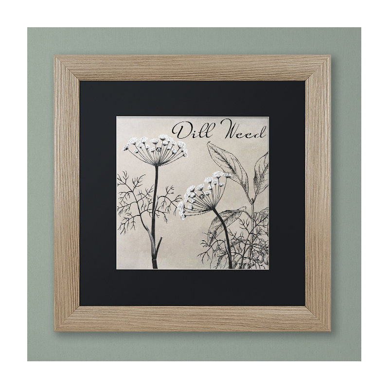 «Flowering Herbs III» par Jadaya, impression encadrée, Noir, H 16 po x l 16 po x P 0,5 po, Cadre argenté