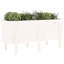 Meenakshi Wood Raised Garden Bed-1774958731-1774958734-1774958769
