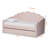 Mitsugu Modern Twin Size Velvet Fabric Daybed in Pink, 45.73'' H X 81.33'' L X 43.94'' W -1285599512