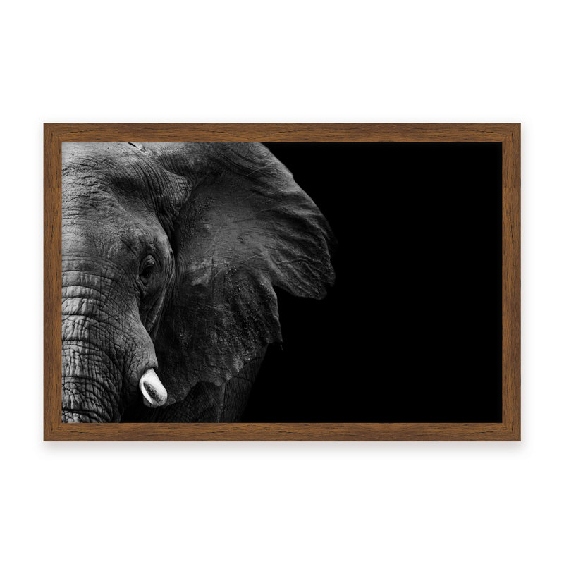 Nature Inspired Elephant by  - Picture Frame Photograph on Paper, 16" H x 24" W x 1.125" D, Beige, Framed Print