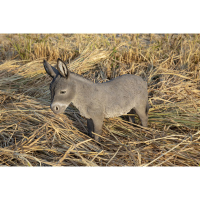 Animals Weather Resistant Water Resistant UV Resistant Polyresin Garden Statue