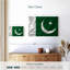 Drapeau pakistanais soyeux-1873939455