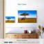 Brampt, savane, girafes d'Afrique