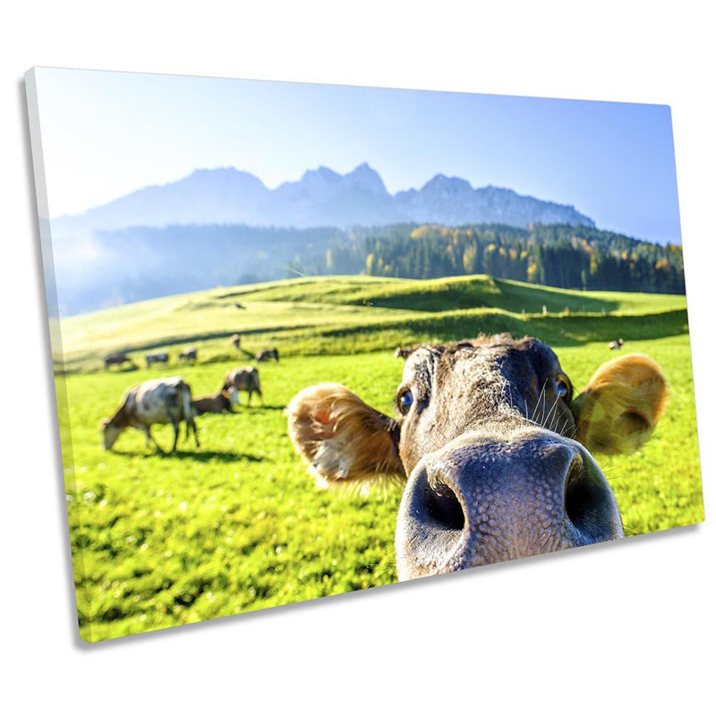 Funny Cow Face Farm - Wrapped Canvas Print, 40.6cm H x 61cm W x 2cm D