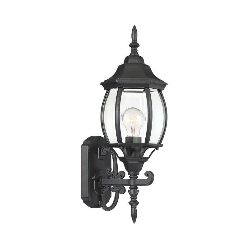 Lanterne murale d'extérieur 1 lumière Meridian