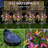 Rez Plastic / Acrylic Garden Stake