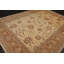 Tapis de zone en laine noué la peshawar brune 8 pi x 11 po one-of-kind Starrucca
