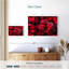 Harnek Dewy Poinsettia-108908449