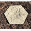 Powder Springs Stone Stepping Stone