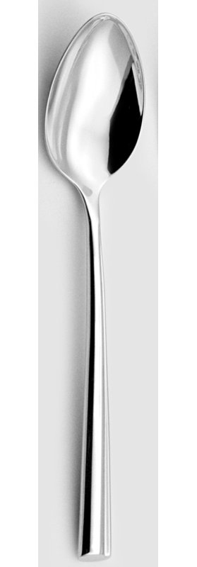 Nervure Stainless Steel Serving Spoon