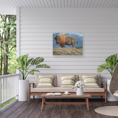 Jeff Hoff Sheer Power Outdoor  Canvas