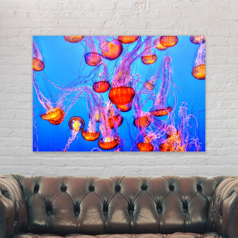 Jellyfish Colourful - Wrapped Canvas Print, 21cm H x 31cm W x 4cm D