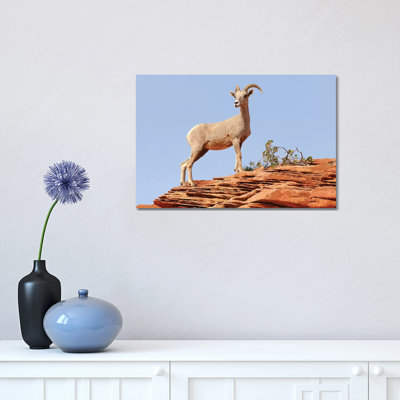 Standing Proud by Brian Wolf - Wrapped Canvas Print